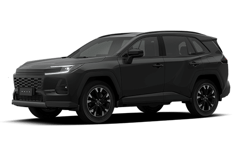 RAV 4 HEV