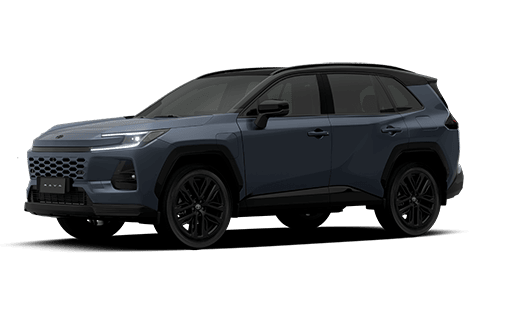 RAV 4 PHEV